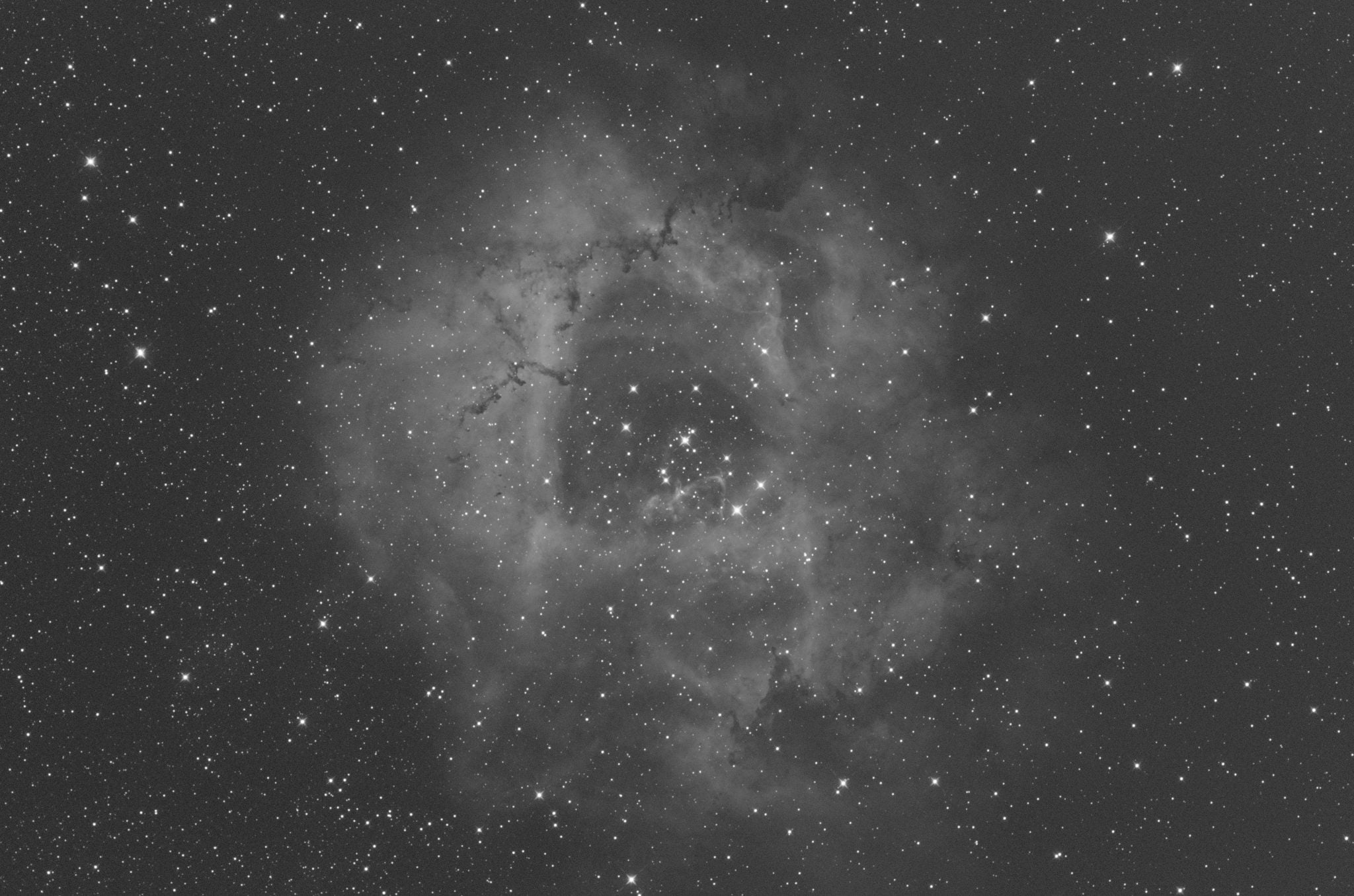 Rosette Nebula 2-inch OIII channel image Rosette Nebula 2-inch OIII channel image