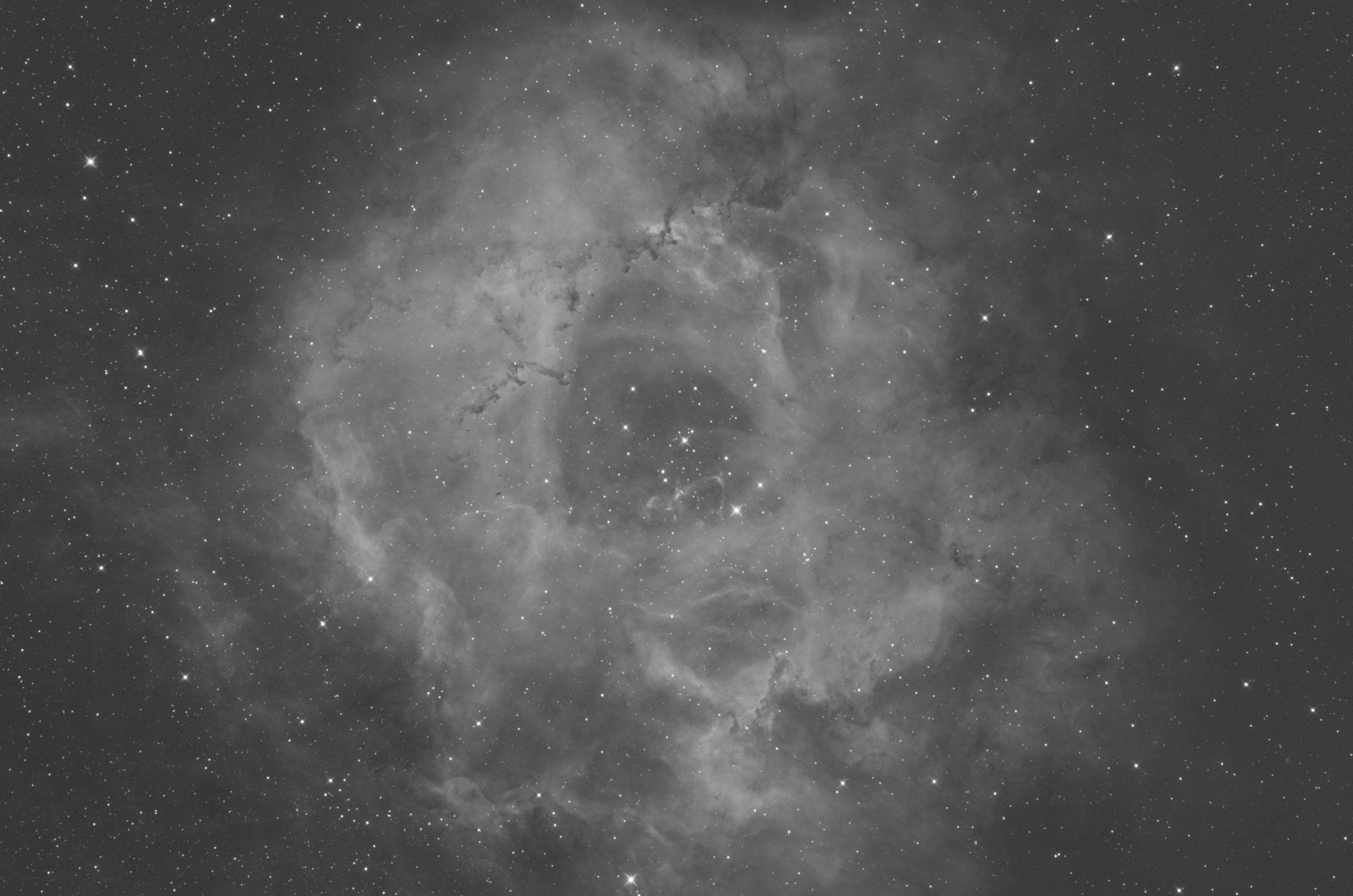 Rosette Nebula 2-inch H channel image Rosette Nebula 2-inch H channel image