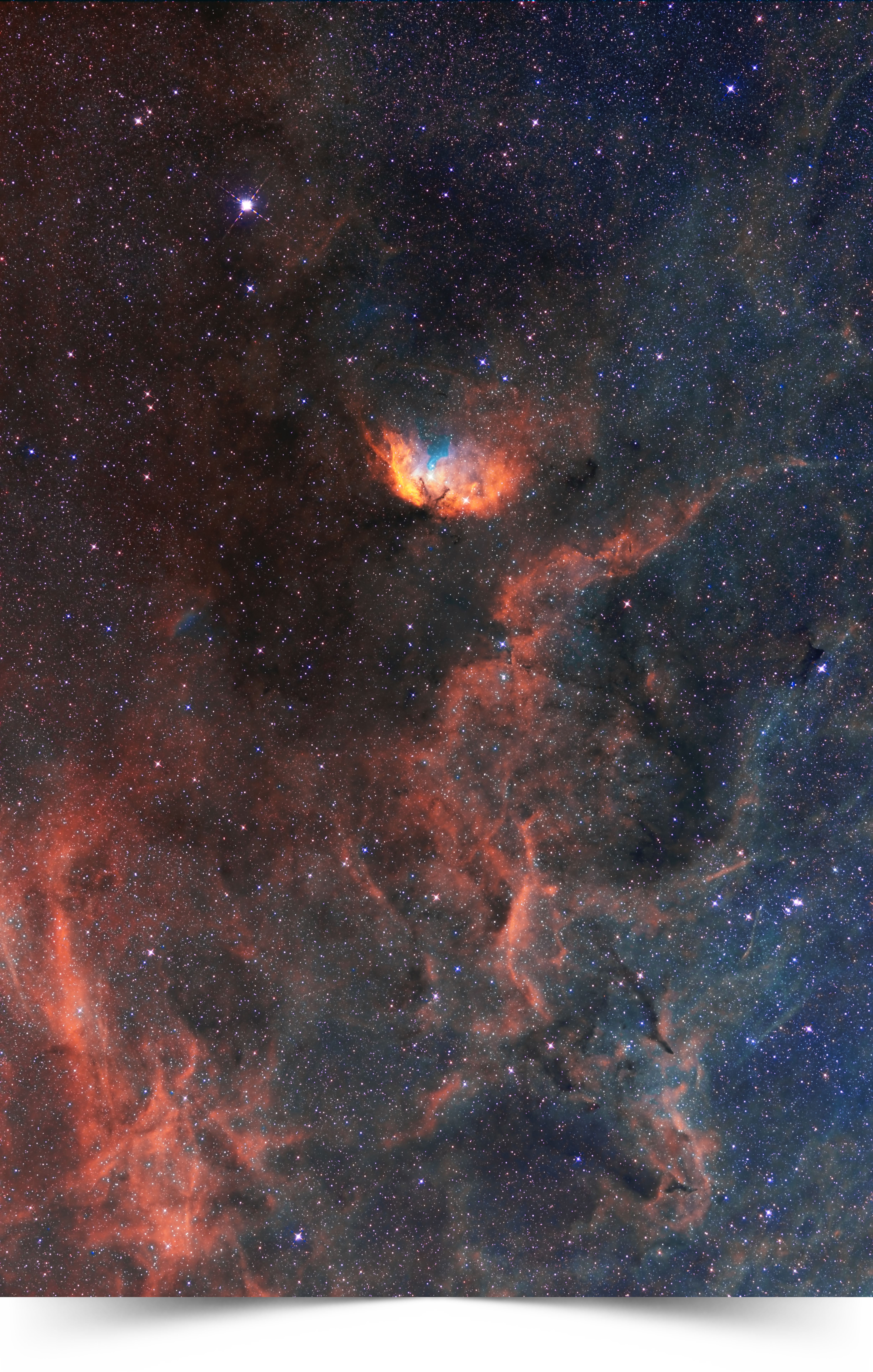 Tulip Nebula Sharpless 101 in Cygnus