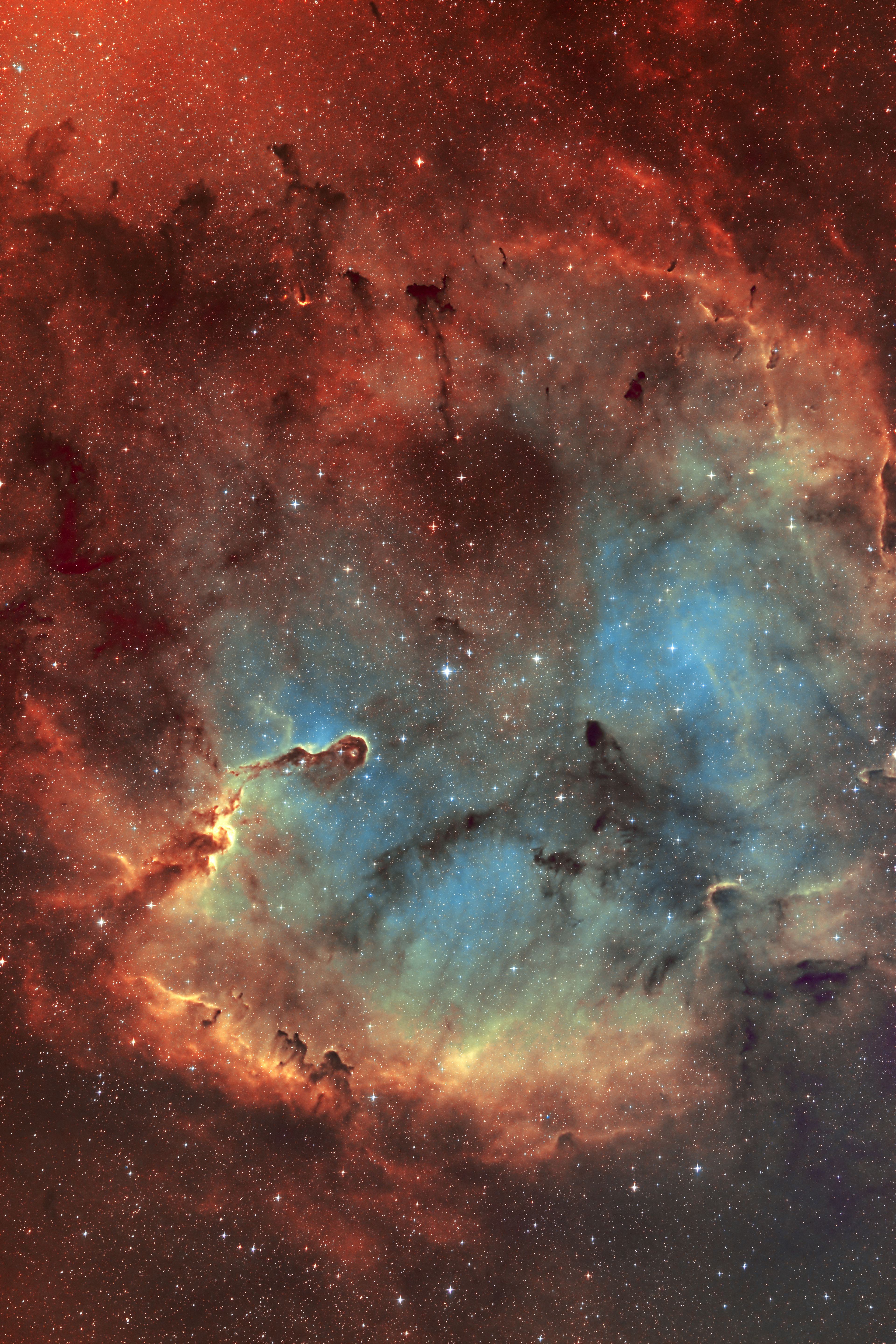 IC 1396 Elephant's Trunk Nebula in Cepheus