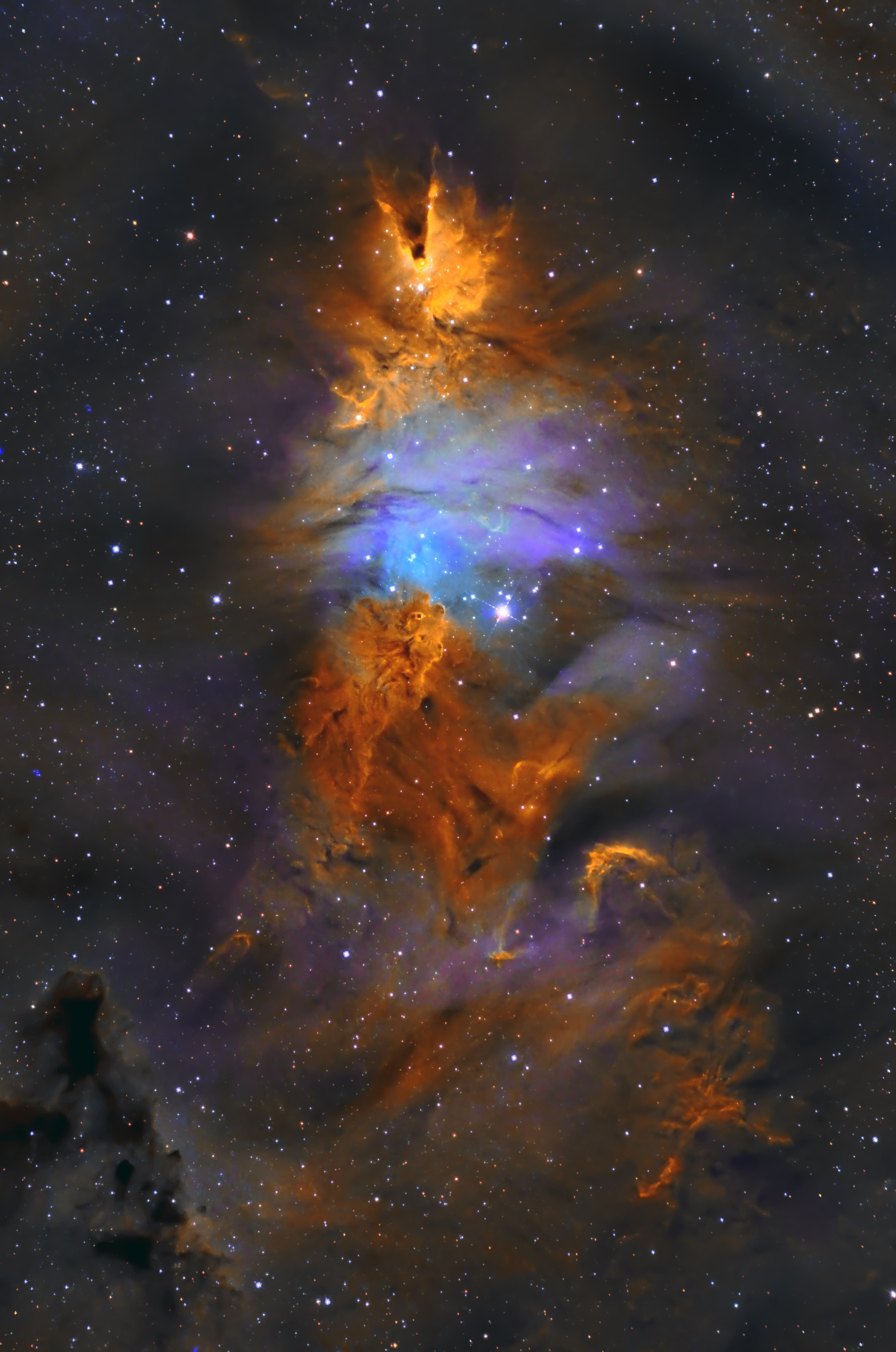 NGC 2264 Christmas Tree Nebula