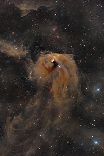 NGC1555 - Fotografo: voice, Feixiangdezhu