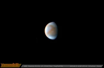 VENUS - Fotografo: wzp