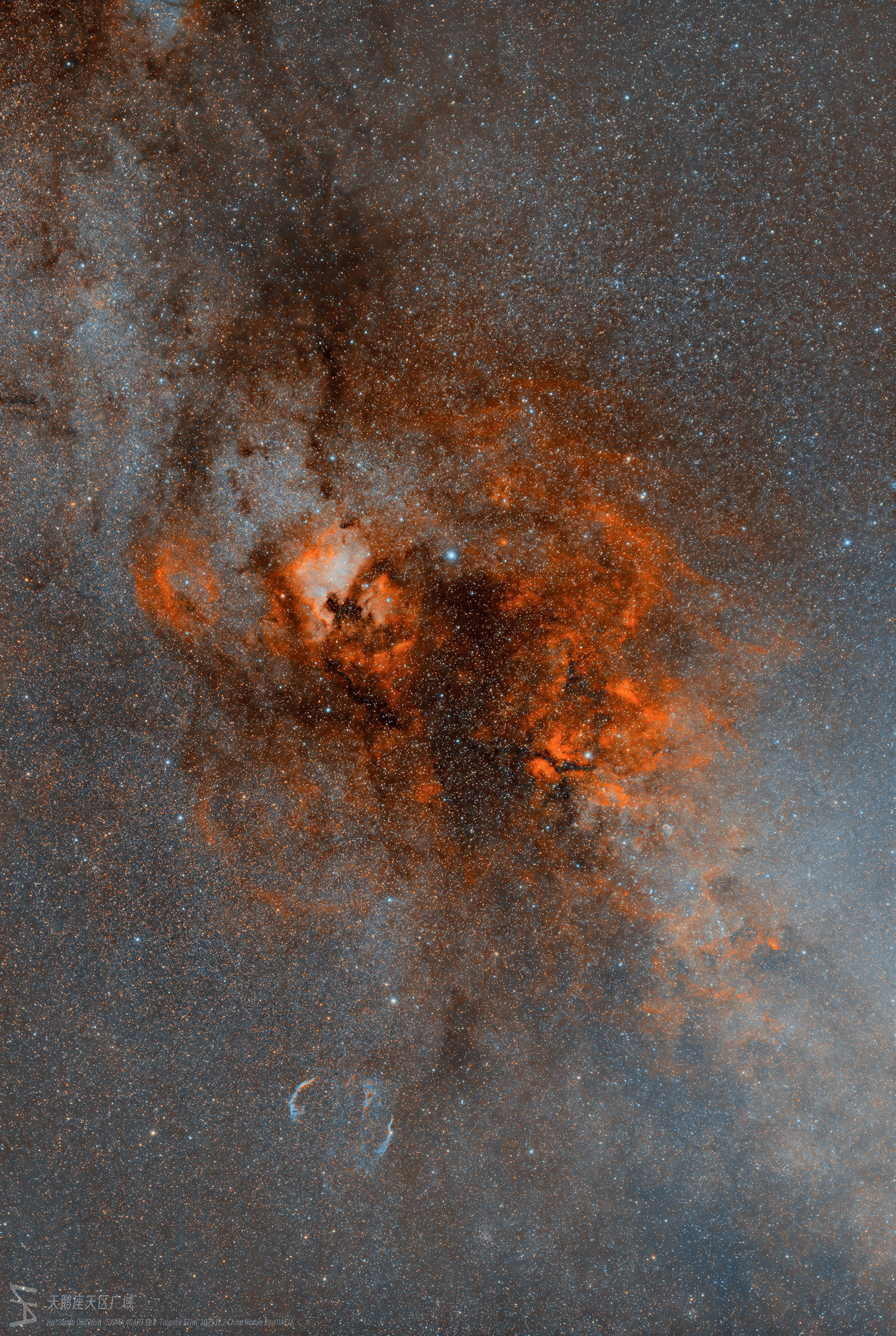 Explore the Wonders of the Cygnus Widefield!