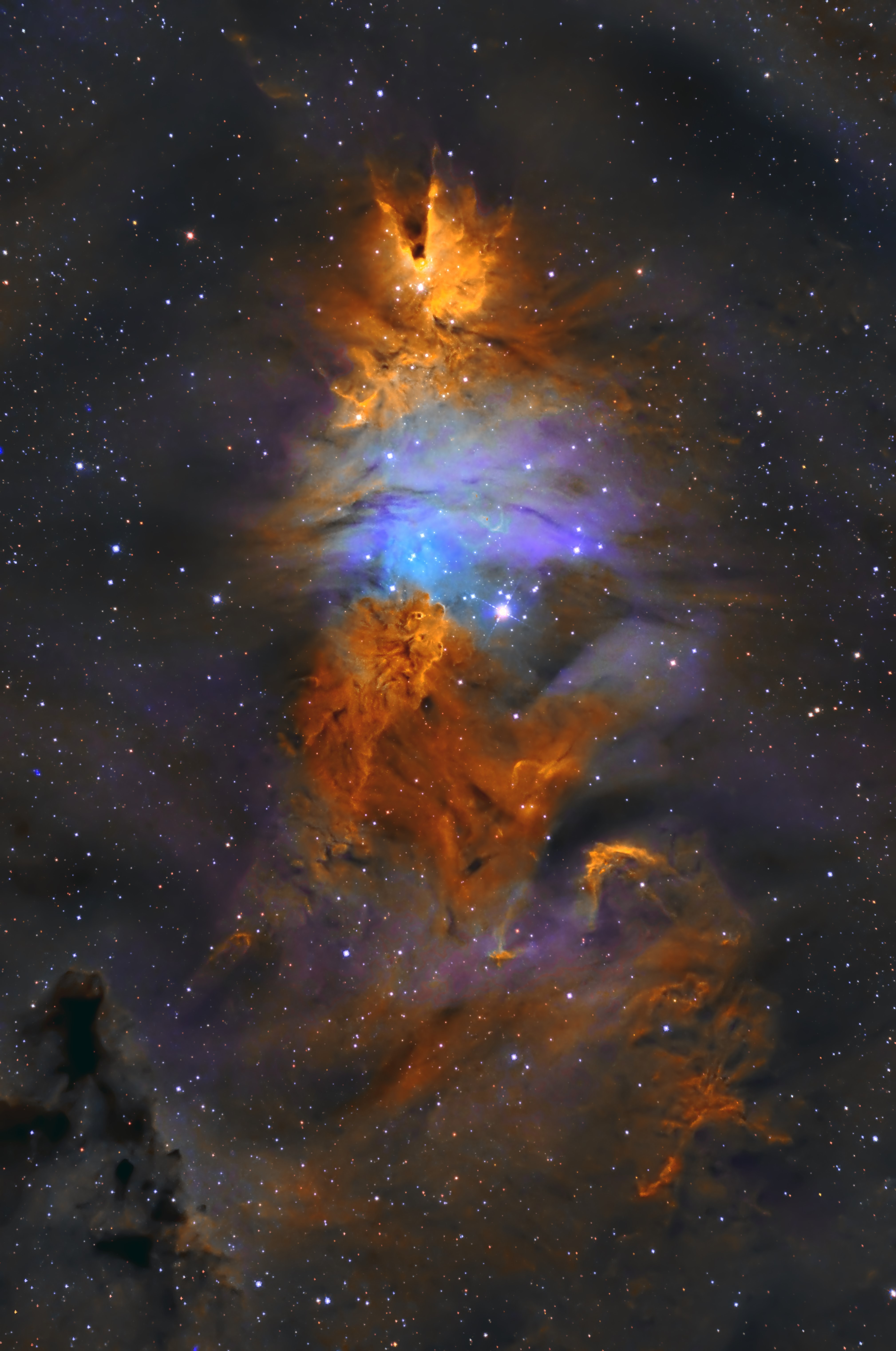 NGC 2264 Nebula